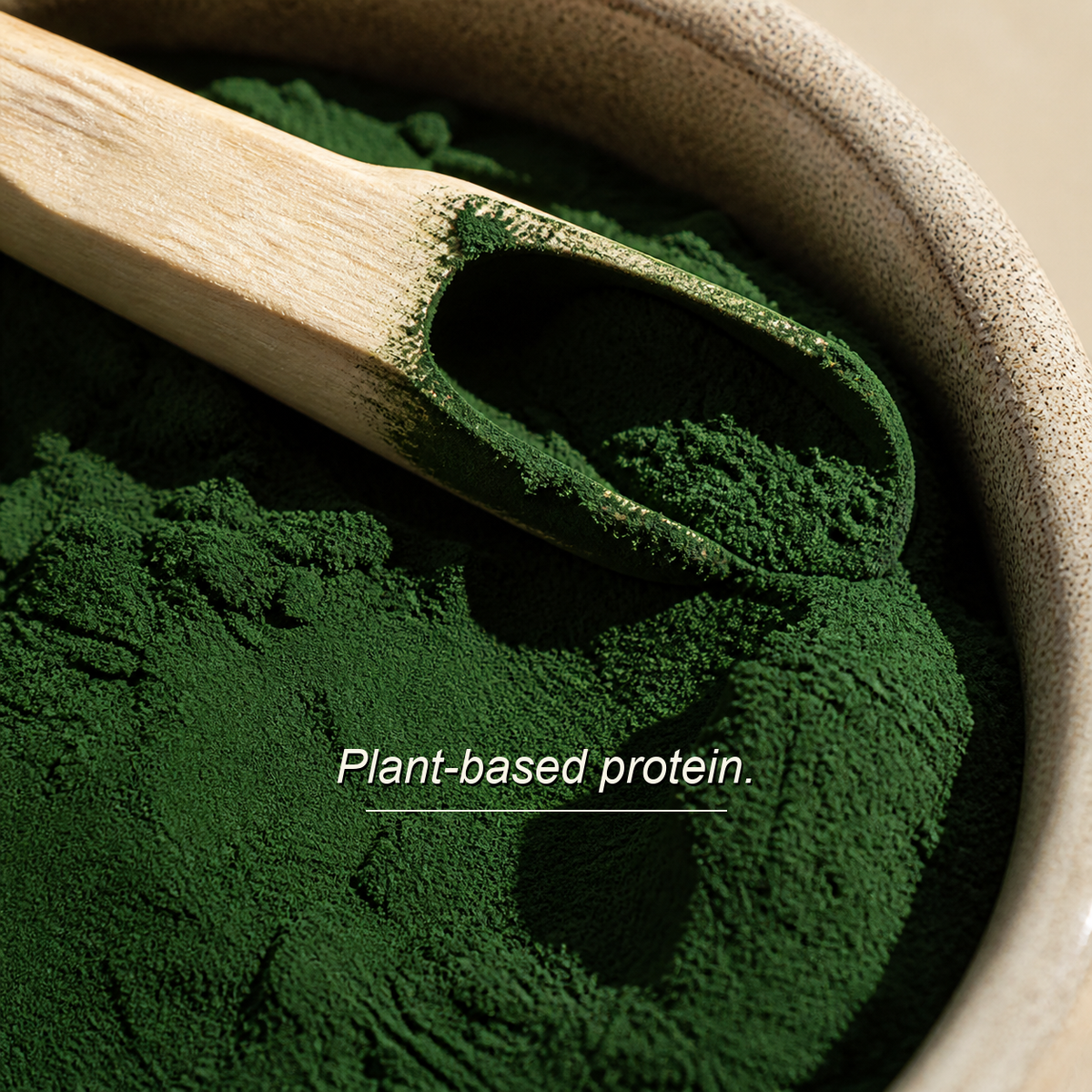Spirulina powder — plant-based protein ingredient story
