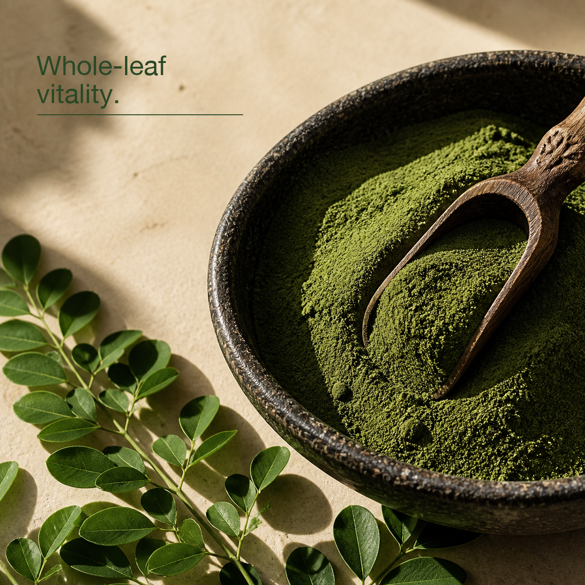 Moringa leaves and powder — whole-leaf vitality ingredient story