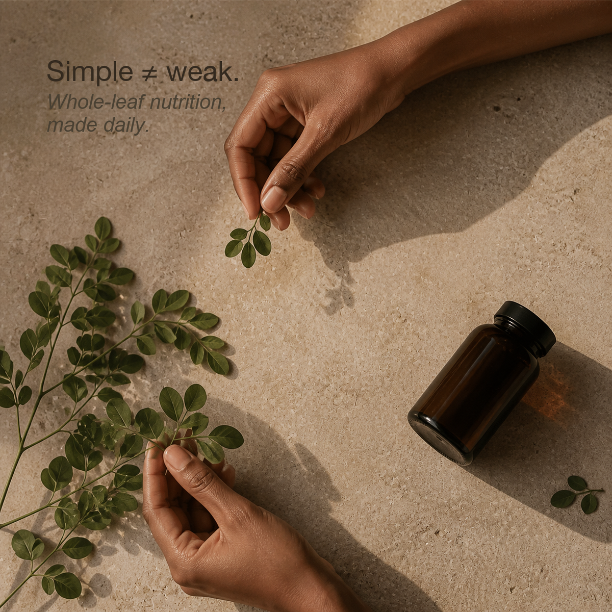 Moringa leaves arranged as a simple daily wellness ritual